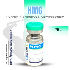 Kisspeptin 10mg